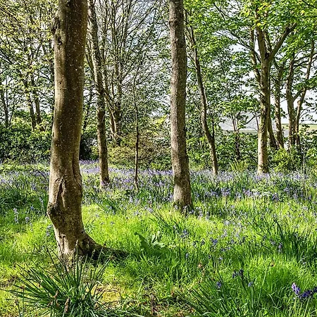 Finest Retreats - Tresillian House Landhuis *